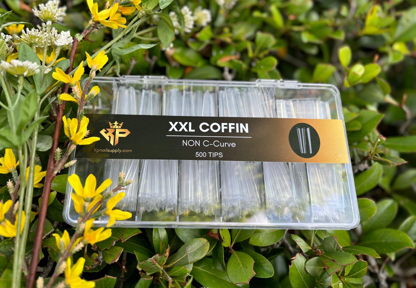 2XL Coffin -Non C Curve