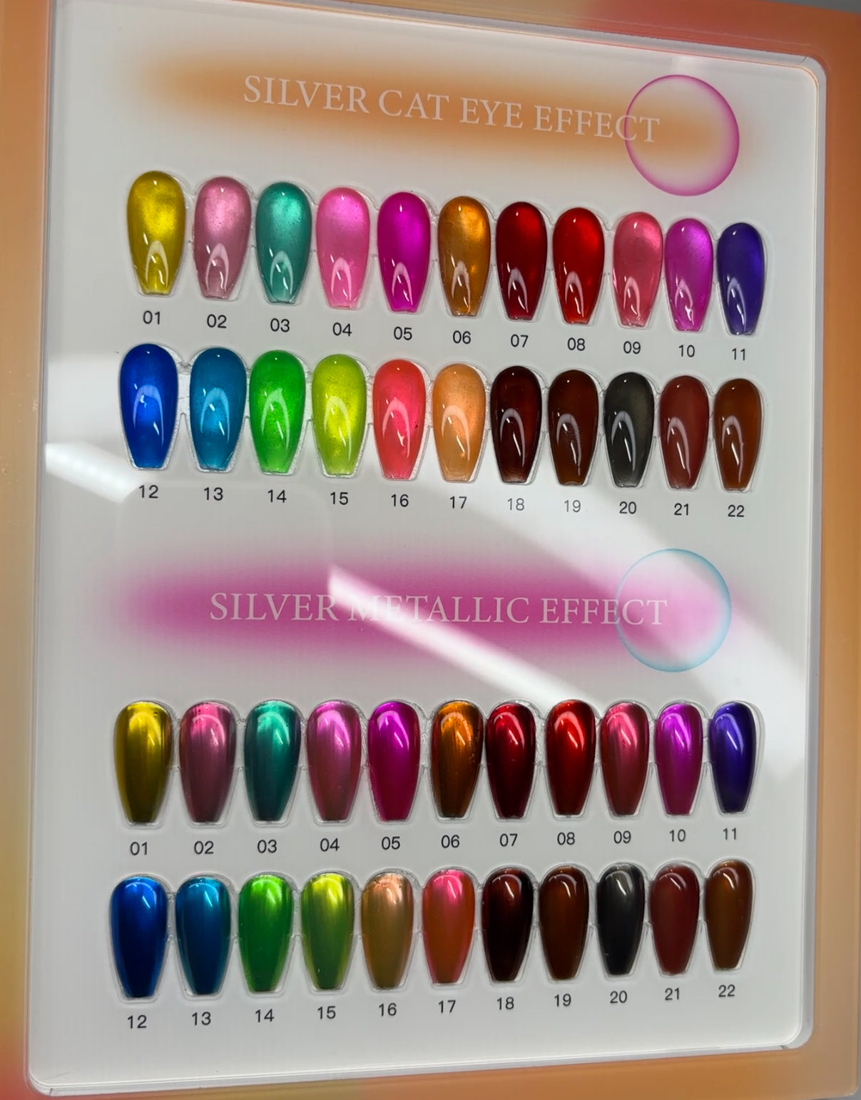 JELLY COLLECTION